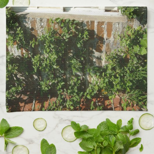 Engels huisje is charmant theedoek (Gevouwen)