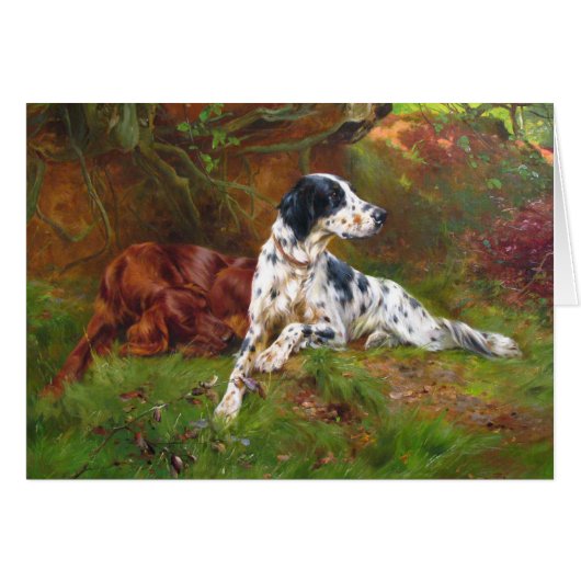 - Engels & Irish Setter Dogs, (Voorkant Horizontaal)