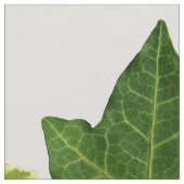 Engels Ivy Leaves Stof (Close Up)