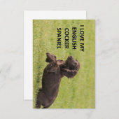engels kokker spaniel liefde voor afbeelding bedankkaart (Voorkant / Achterkant)