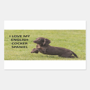 engels kokker spaniel liefde voor afbeelding rechthoekige sticker