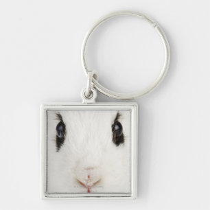 Engels konijn (Oryctolagus cuniculus) Sleutelhanger