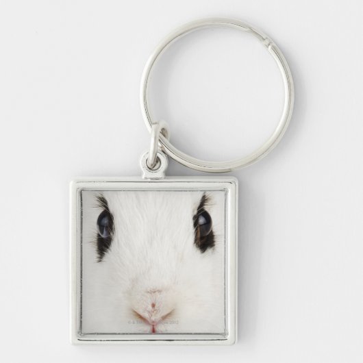 Engels konijn (Oryctolagus cuniculus) Sleutelhanger (Voorkant)