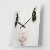 Engels konijn (Oryctolagus cuniculus) Vierkante Klok (Hoek)
