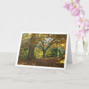 Engels landschappelijk boslandschap kaart