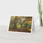 Engels Landschappelijk Boslandschap Kaart (Voorkant)