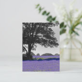 Engels lavender veld briefkaart (Staand voorkant)