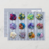 Engels Leicester Longwool Dyed Fibre Briefkaart (Voorkant / Achterkant)