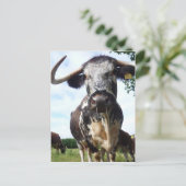 Engels Longhorn Cattle Cow Briefkaart (Staand voorkant)