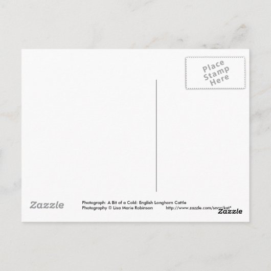 Engels Longhorn Cattle Cow Briefkaart (Achterkant)