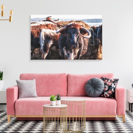 Engels Longhorns Canvas Afdruk (Insitu (Woonkamer))