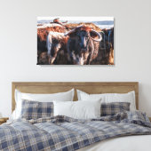 Engels Longhorns Canvas Afdruk (Insitu (Slaapkamer))