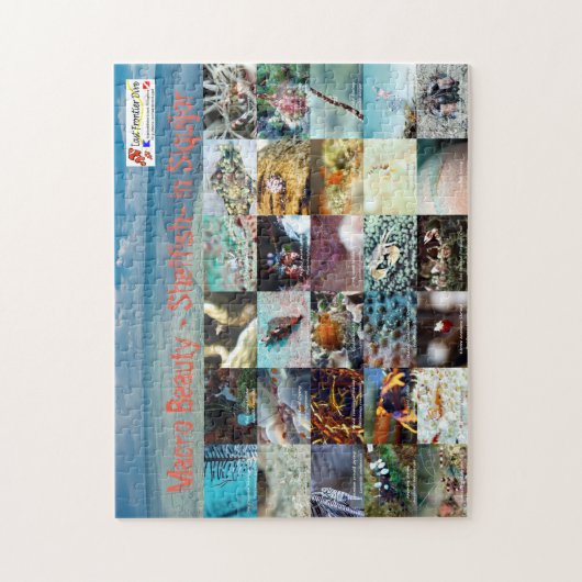 Engels: Macro Beauty - Shellfish - in Siquijor Legpuzzel (Verticaal)