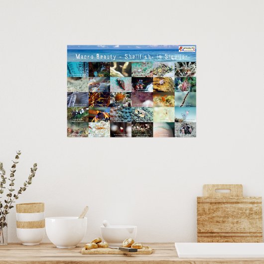 Engels: Macro Beauty - Shellfish - in Siquijor Poster (Keuken)