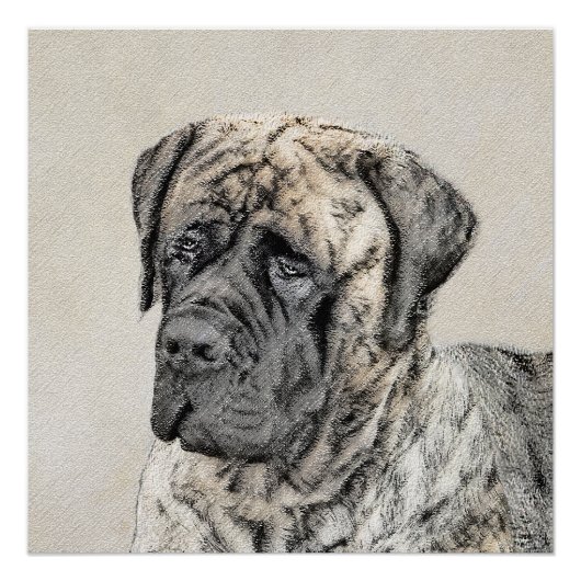 Engels Mastiff (Brindle) schilderen - Dog Art Perfect Poster (Voorkant)