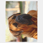 ENGELS MASTIFF FLEECE DEKEN (Voorkant)