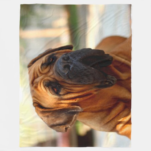 ENGELS MASTIFF FLEECE DEKEN (Voorkant)