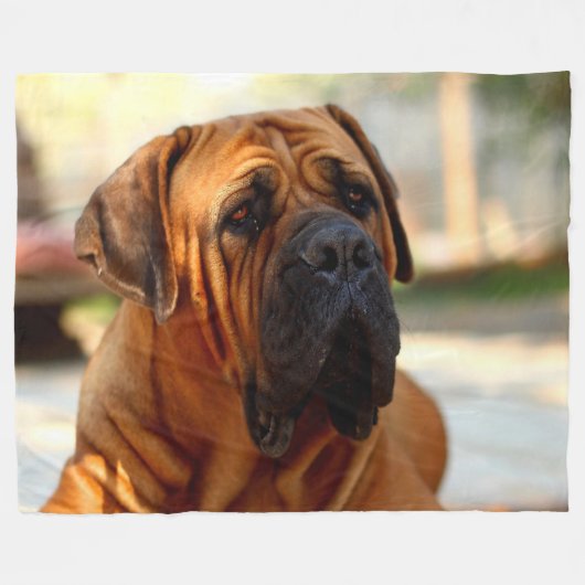 ENGELS MASTIFF FLEECE DEKEN (Voorkant (Horizontaal))