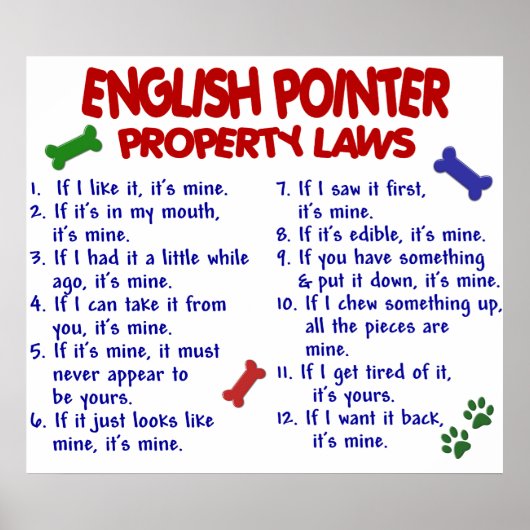 ENGELS POINTER PL2 POSTER (Voorkant)