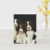 Engels "puppy" van het Spaniel van de Aanzetsteen Kaart (Gele Bloem)