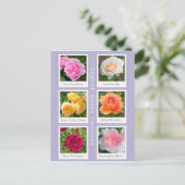 Engels Roos Briefkaart (Staand voorkant)