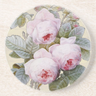 Engels Roos Garden Bourbon Pink Floral Zandsteen Onderzetter