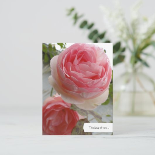  Engels Roos Garden Briefkaart (Staand voorkant)