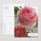 Engels Roos Garden Briefkaart (Voorkant / Achterkant)