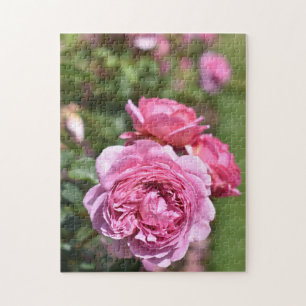 Engels Roos Garden Kew Gardens London Verenigd Kon Legpuzzel
