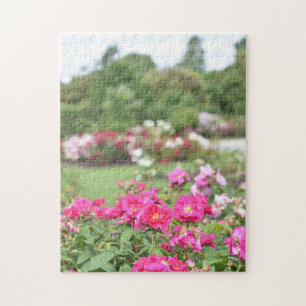 Engels Roos Garden Kew Gardens London Verenigd Kon Legpuzzel
