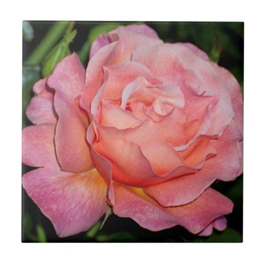 Engels Roos keramische tegel Tegeltje (Voorkant)