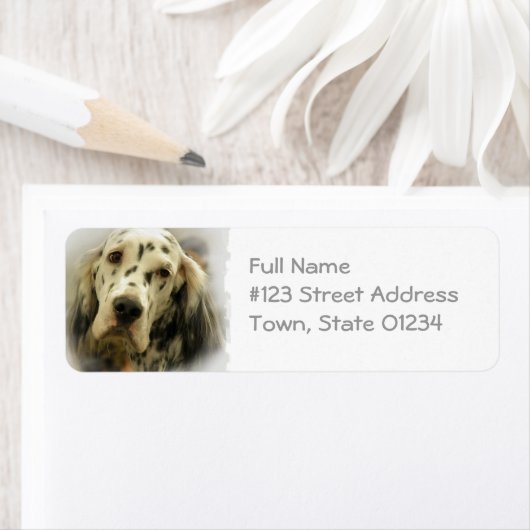 Engels setter hond retour adres label (Insitu)