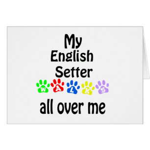 Engels Setter Walks Design