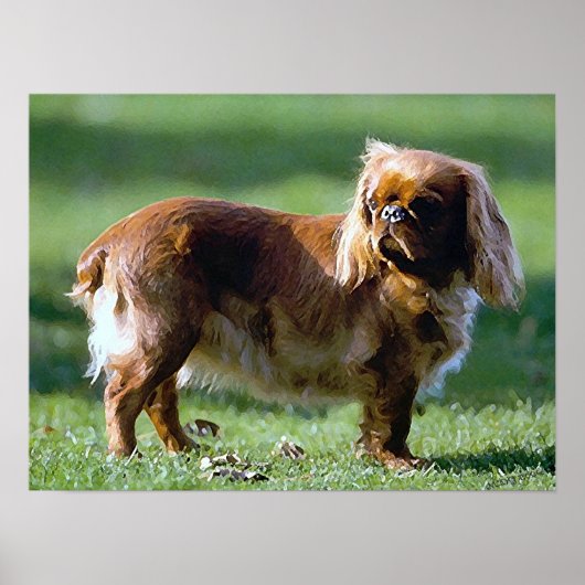 Engels Speelgoed Spaniel Dog Poster Print (Voorkant)