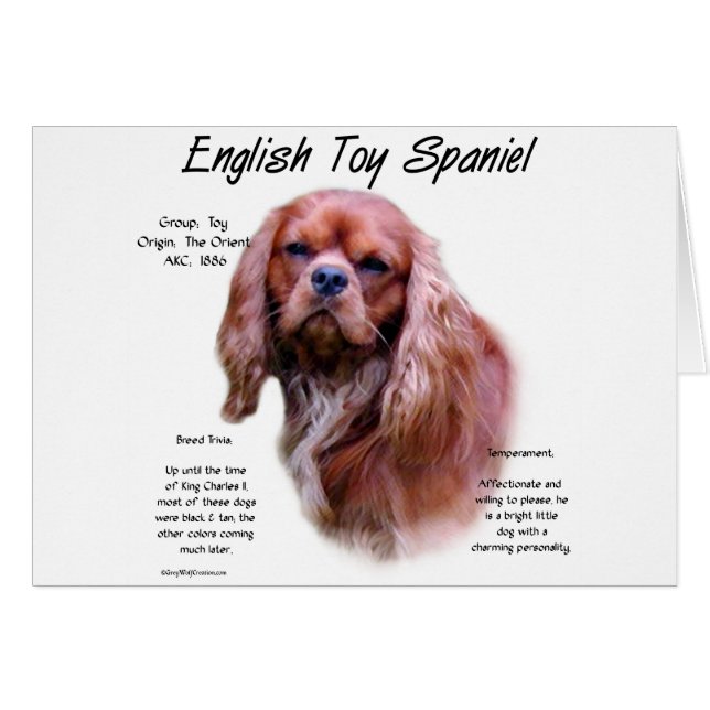 Engels Speelgoed Spaniel (robijn) Geschiedenis Ont (Voorkant Horizontaal)