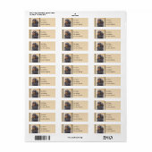 Engels Speelgoed Spaniel Schilderen Originele Dier Etiket (Full Sheet)