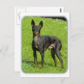 Engels Speelgoed Terrier 9R78D-77 Briefkaart (Voorkant / Achterkant)