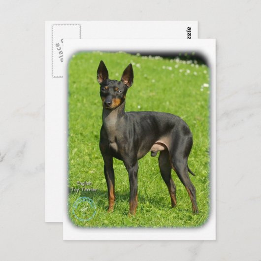 Engels Speelgoed Terrier 9R78D-77 Briefkaart (Voorkant / Achterkant)