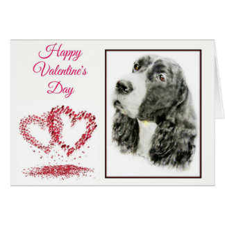 Engels Springer Spaniel