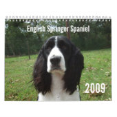 Engels Springer Spaniel 2009 Agenda Kalender (Hoes)