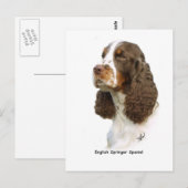 Engels Springer Spaniel 8M15D-05 Briefkaart (Voorkant / Achterkant)