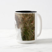 Engels Springer Spaniel - Beste vriend Tweekleurige Koffiemok (Voorkant rechts)