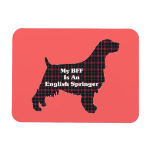 Engels Springer SPANIEL BFF Magneet