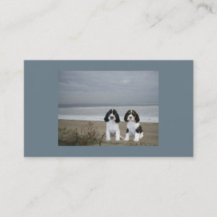 Engels Springer Spaniel Breeder Visitekaartje