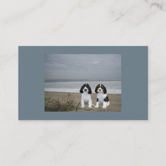 Engels Springer Spaniel Breeder Visitekaartje (Voorkant)