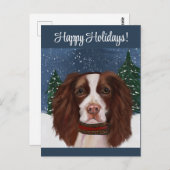 ENGELS SPRINGER SPANIEL BRIEFKAART (Voorkant / Achterkant)