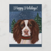 ENGELS SPRINGER SPANIEL BRIEFKAART (Voorkant)
