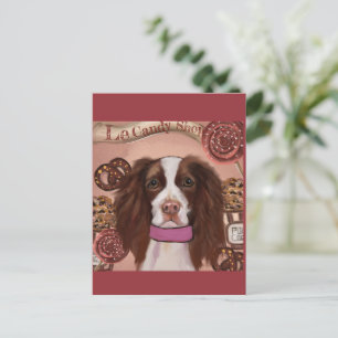 Engels Springer Spaniel Briefkaart