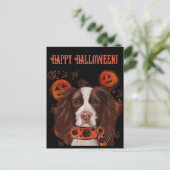Engels Springer Spaniel Briefkaart (Staand voorkant)