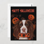 Engels Springer Spaniel Briefkaart (Voorkant / Achterkant)